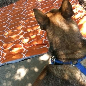 Meet your Posher, Kimmi